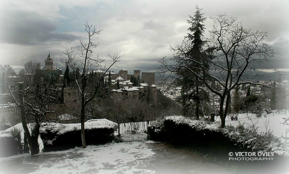 La Alhambra desde el Generalife (Enero 2003)